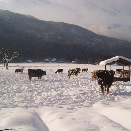 Farmhouse Soklic Bohinj Exterior photo