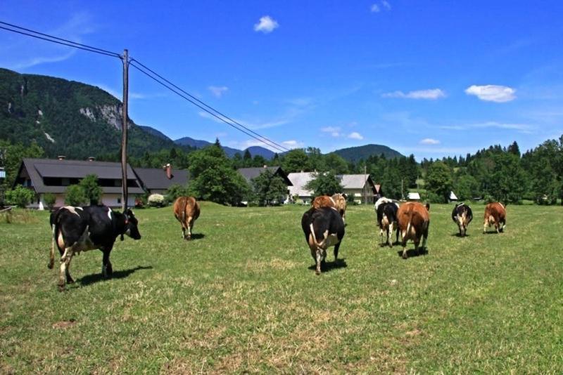 Farmhouse Soklic Bohinj Exterior photo