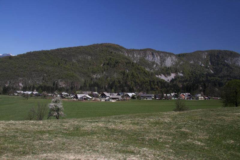 Farmhouse Soklic Bohinj Exterior photo